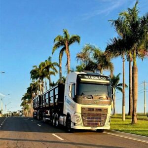 foto-transinacio3